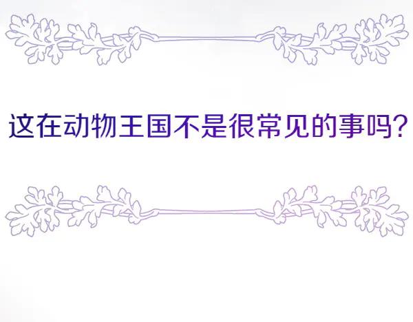 156.jpg