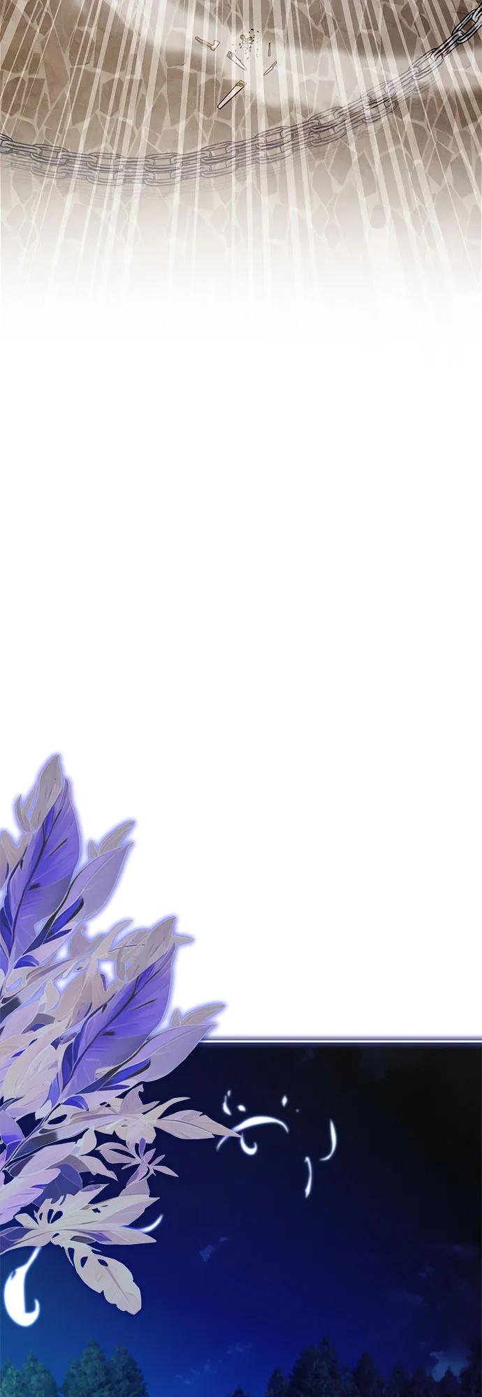 80.jpg
