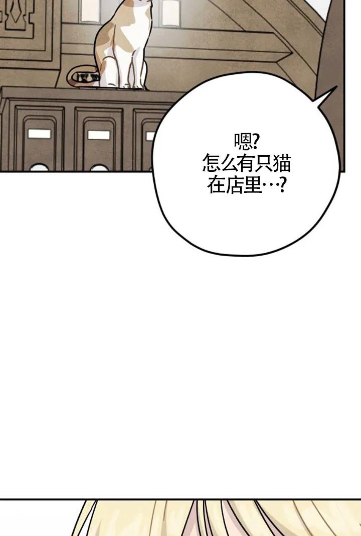93.jpg