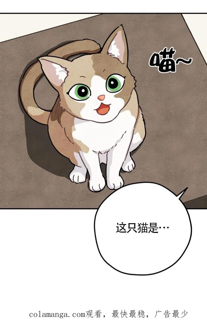 95.jpg
