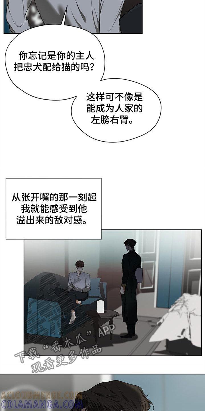 第80章：【第二季】白贤石-赌徒深渊-Aczer & JOO（第7张）