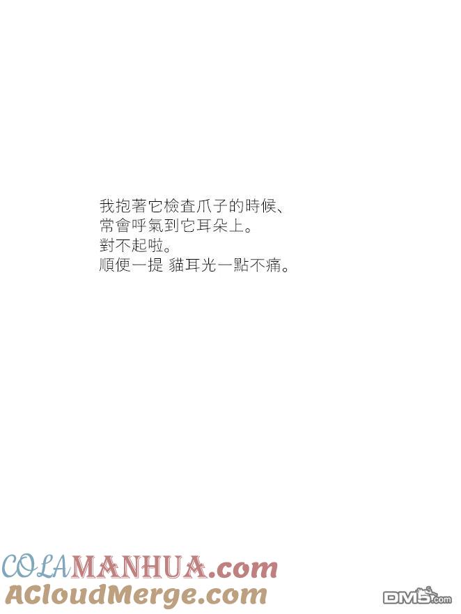 第18话-关于养猫我一直是新手-キュルZ（第3张）