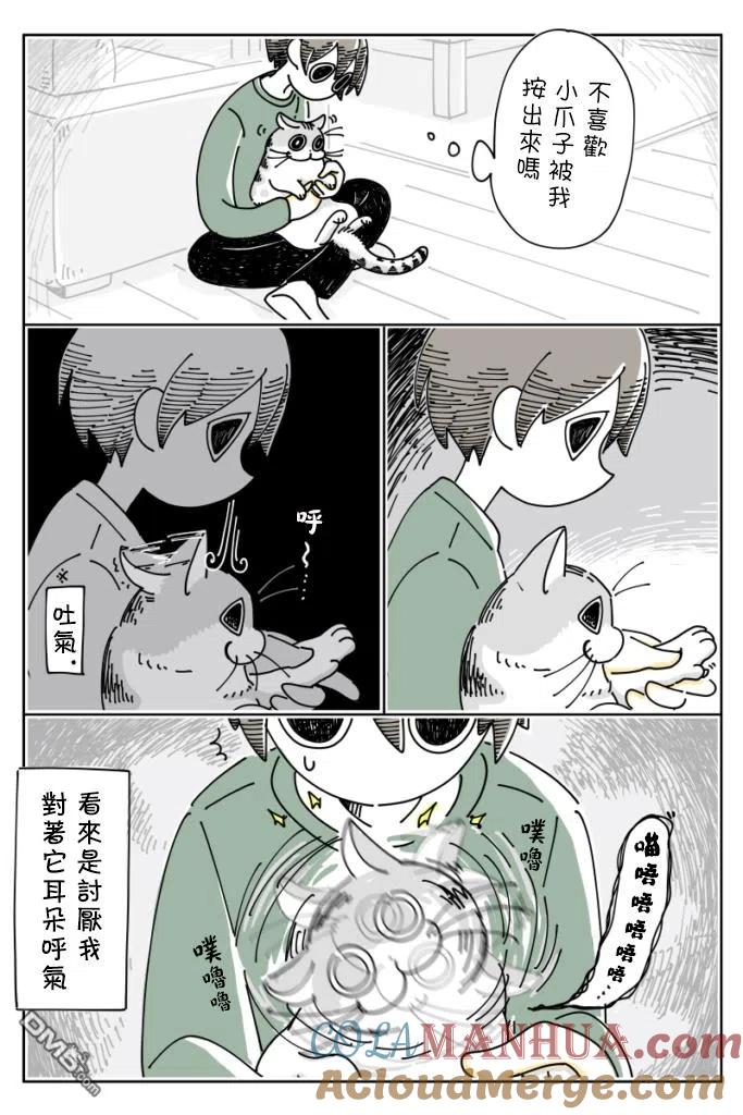第18话-关于养猫我一直是新手-キュルZ（第2张）