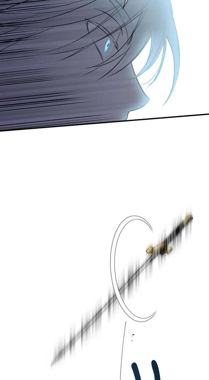 74.jpg