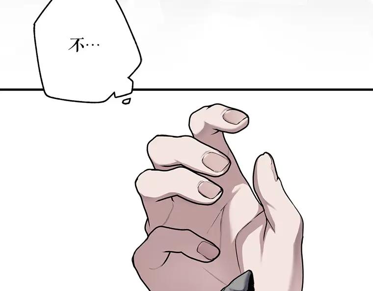 163.jpg