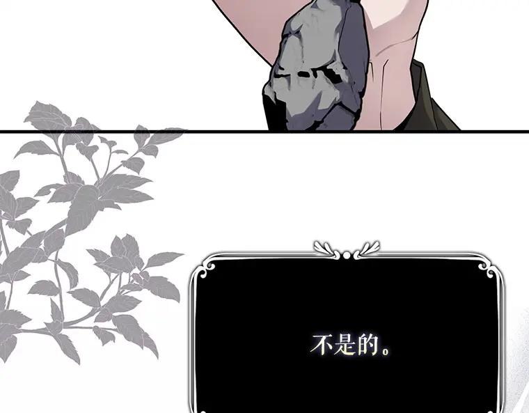 164.jpg