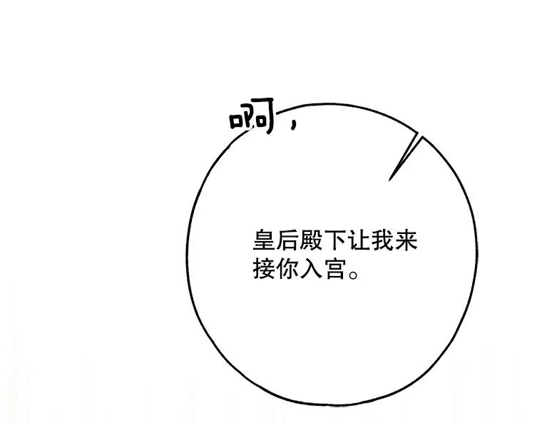 211.jpg