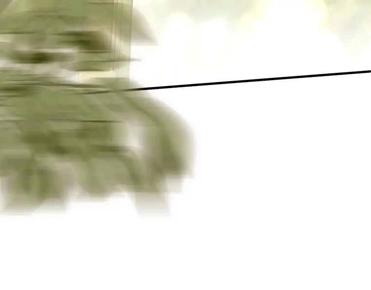 255.jpg