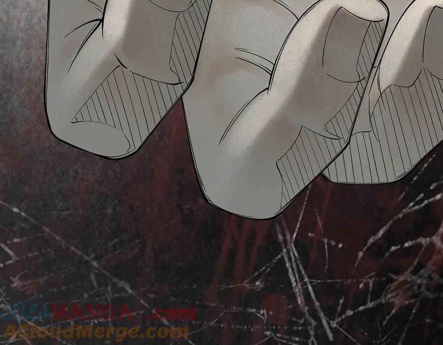 233.jpg