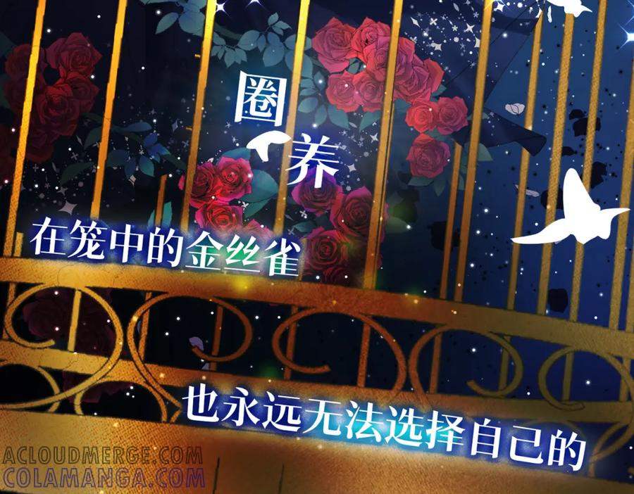 00我的专属秘密恋人-被主教大人宠爱的日子-九月灯文化（第3张）