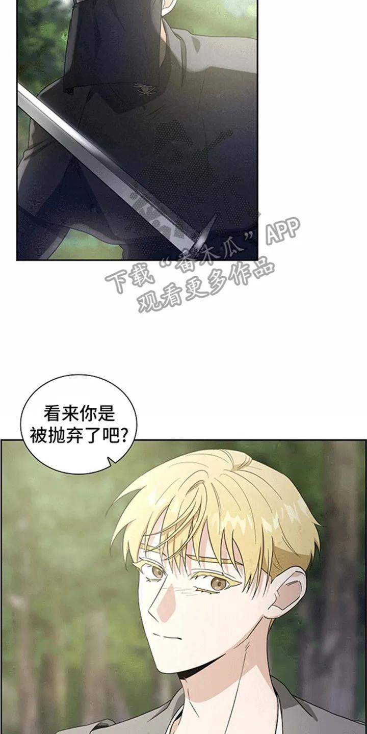 第11章：休息-姻缘天注定-ROAMM（第15张）