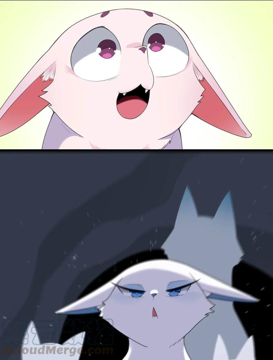 62.jpg