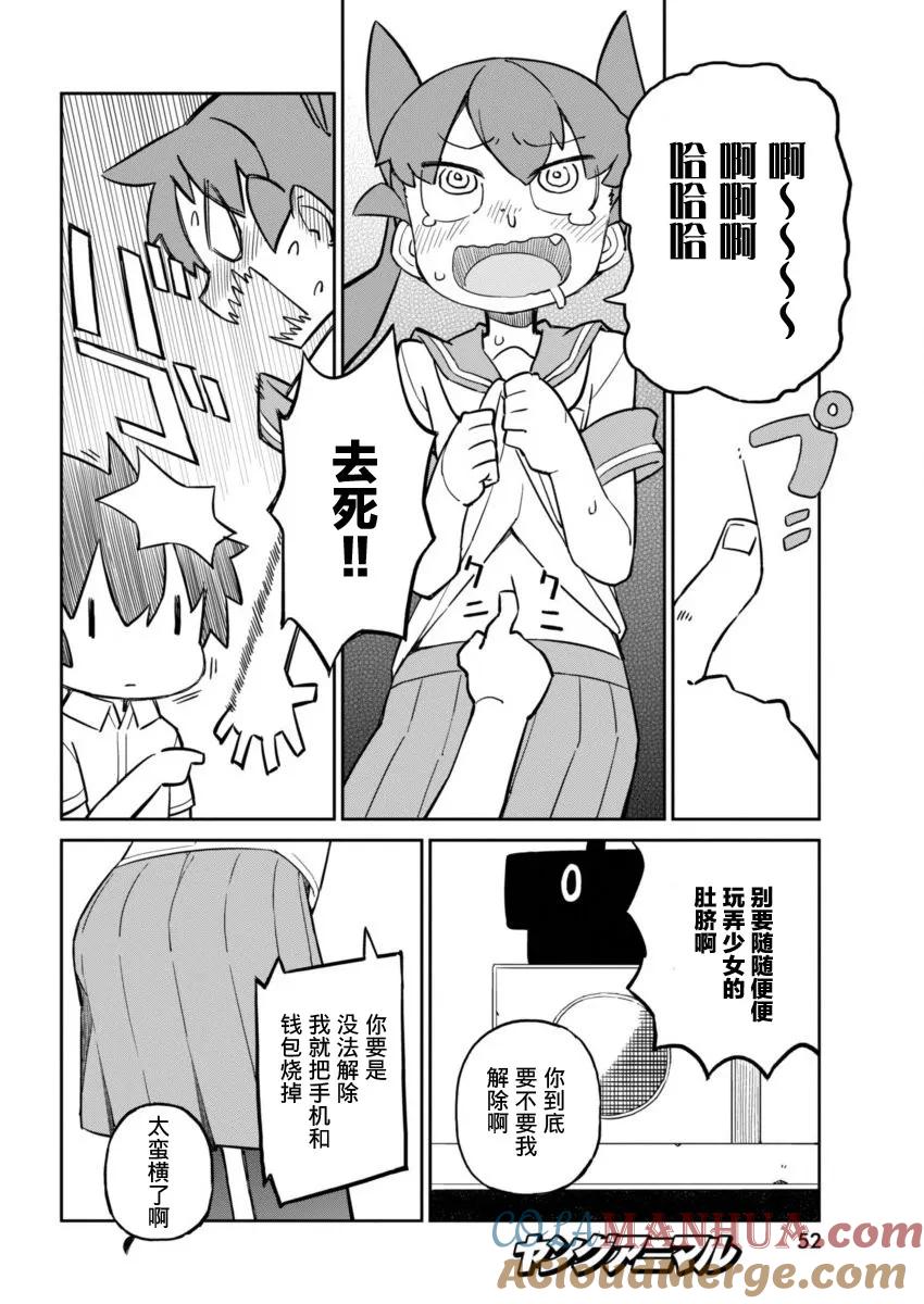 4.jpg