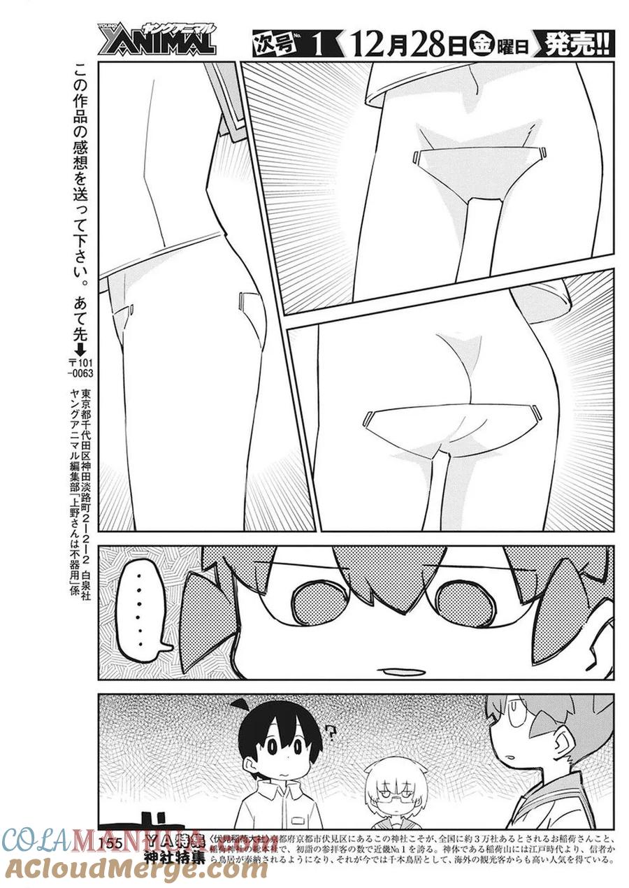11.jpg
