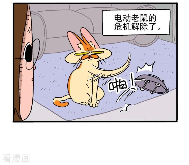 第25话电动老鼠-阿满和麦茶-新漫画 日胖大海寺（第12张）