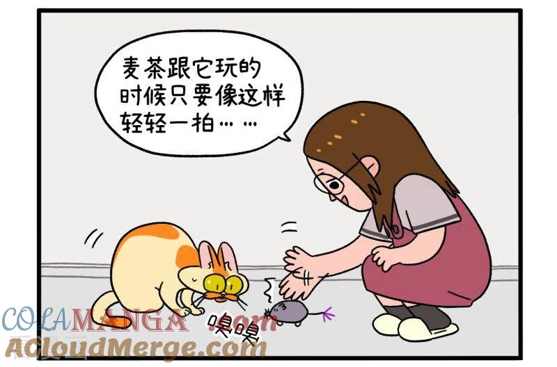 第25话电动老鼠-阿满和麦茶-新漫画 日胖大海寺（第3张）
