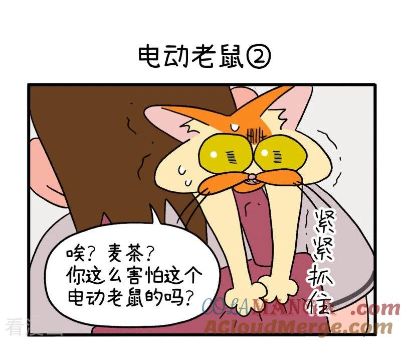 第25话电动老鼠-阿满和麦茶-新漫画 日胖大海寺（第5张）