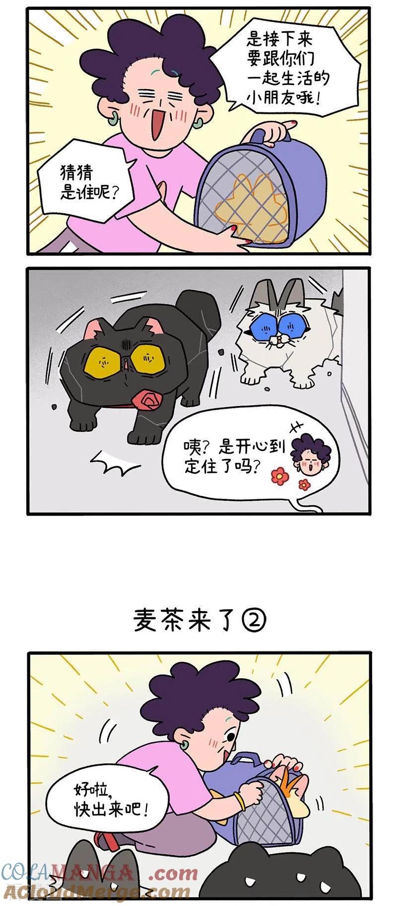 第35话1麦茶来了-阿满和麦茶-新漫画 日胖大海寺（第2张）