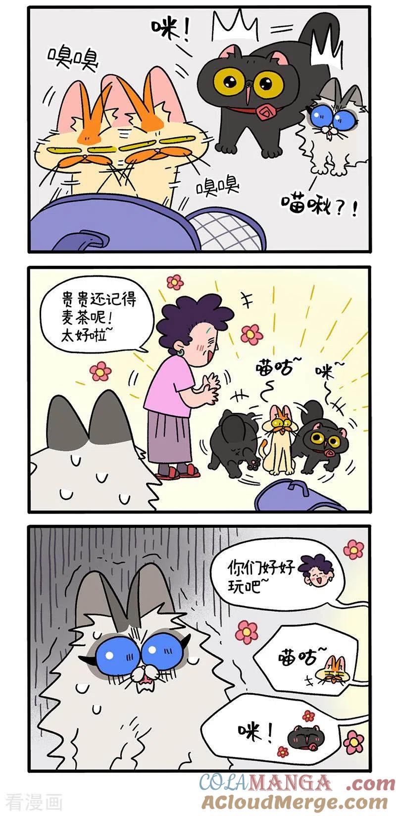 第35话1麦茶来了-阿满和麦茶-新漫画 日胖大海寺（第3张）