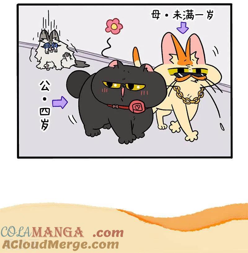 第35话1麦茶来了-阿满和麦茶-新漫画 日胖大海寺（第5张）