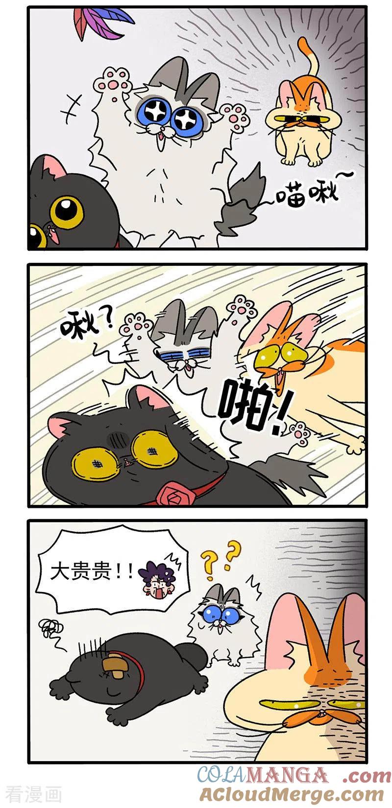 第35话2麦茶来了-阿满和麦茶-新漫画 日胖大海寺（第3张）