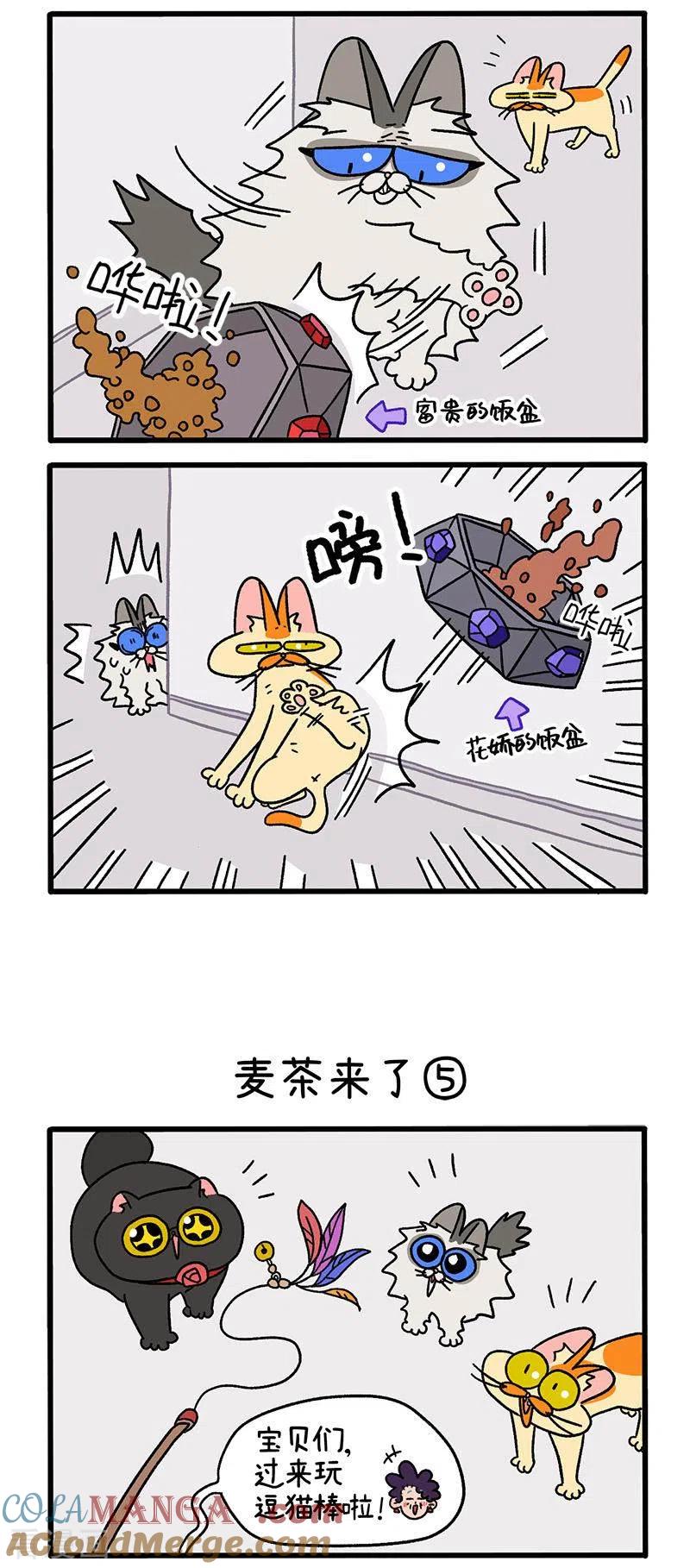 第35话2麦茶来了-阿满和麦茶-新漫画 日胖大海寺（第2张）