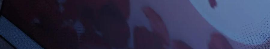 91.jpg