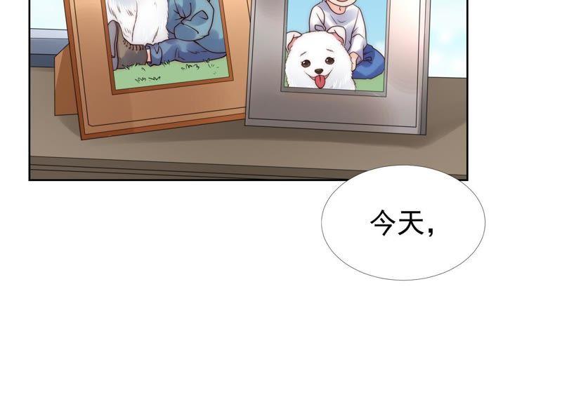 第25话我不需要你的可怜-冰山男的心尖宠-自由互娱（第6张）