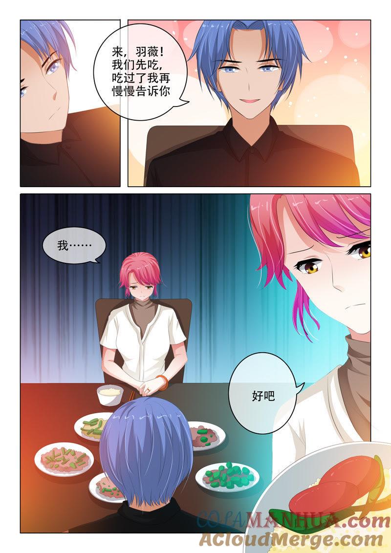 第135话-冰山首席：枕上替嫁新娘-成都古羌（第8张）