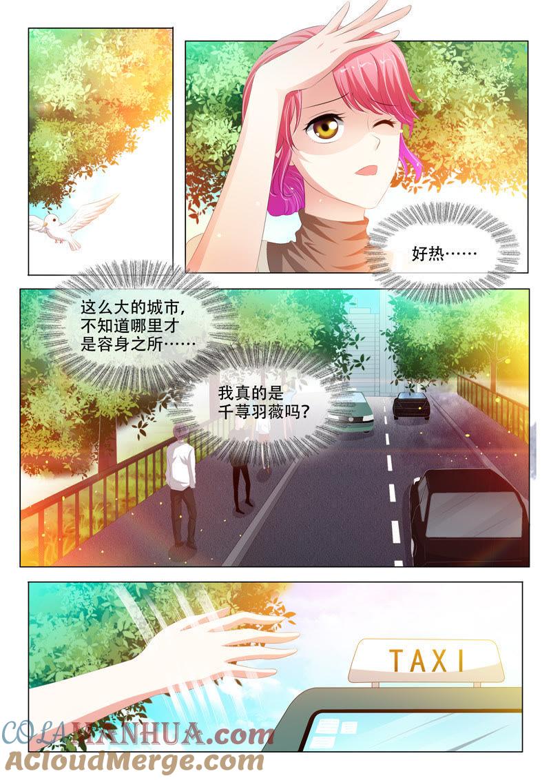 第137话-冰山首席：枕上替嫁新娘-成都古羌（第6张）