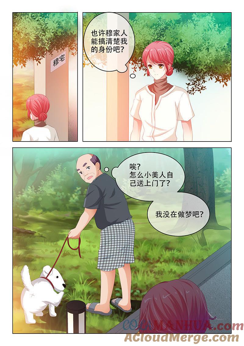 第137话-冰山首席：枕上替嫁新娘-成都古羌（第7张）