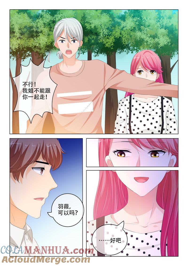 第195话-冰山首席：枕上替嫁新娘-成都古羌（第5张）