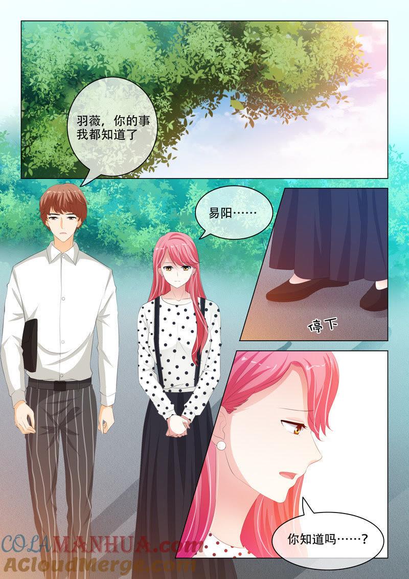 第196话-冰山首席：枕上替嫁新娘-成都古羌（第2张）