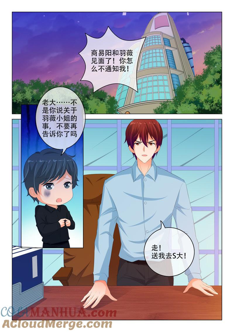 第197话-冰山首席：枕上替嫁新娘-成都古羌（第2张）