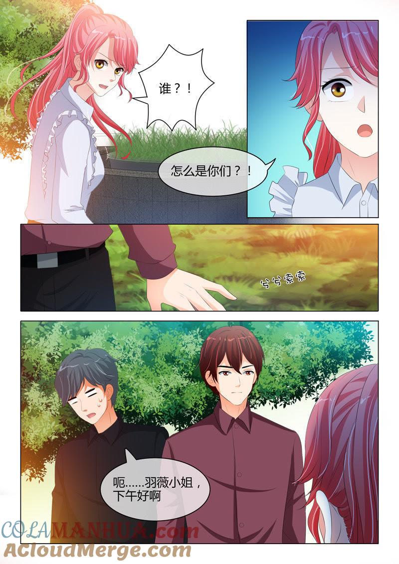 第201话-冰山首席：枕上替嫁新娘-成都古羌（第3张）