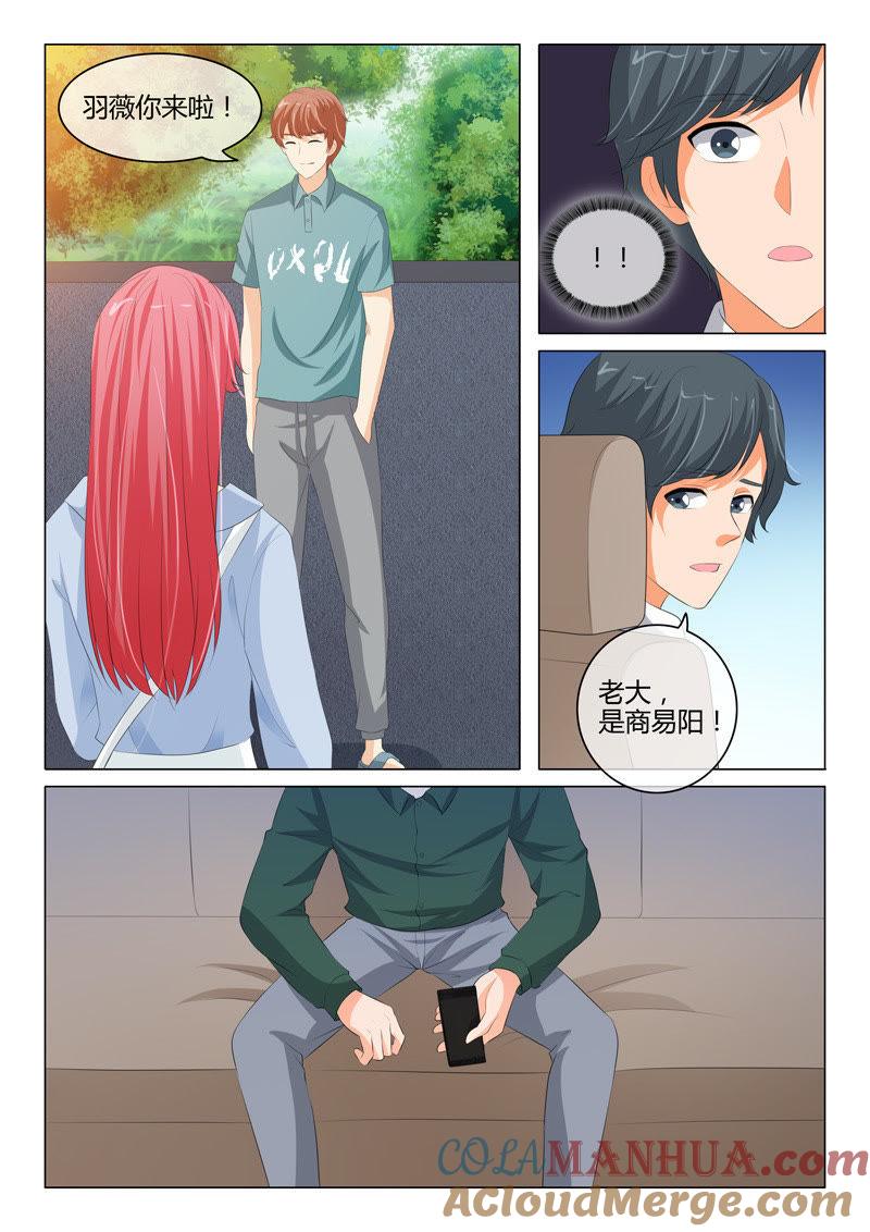 第207话-冰山首席：枕上替嫁新娘-成都古羌（第3张）