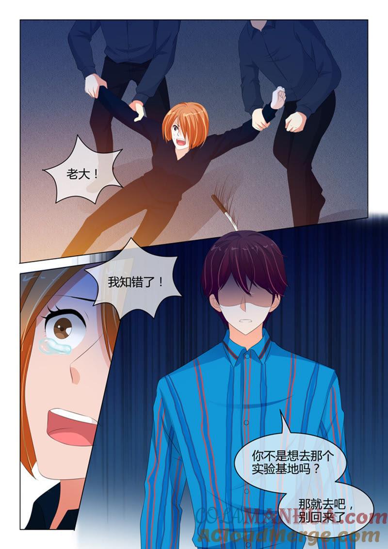 第214话-冰山首席：枕上替嫁新娘-成都古羌（第6张）