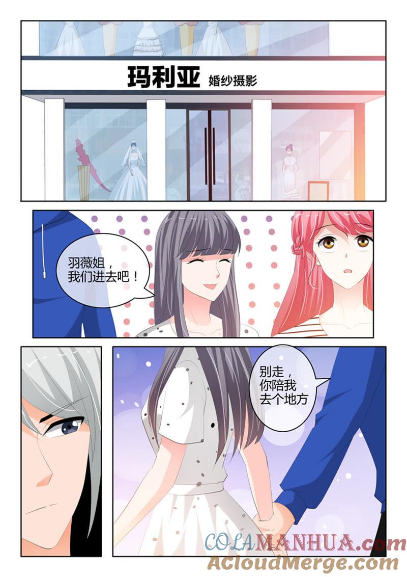 第230话-冰山首席：枕上替嫁新娘-成都古羌（第6张）
