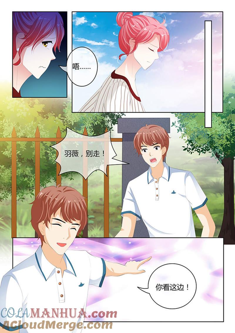 第231话-冰山首席：枕上替嫁新娘-成都古羌（第3张）