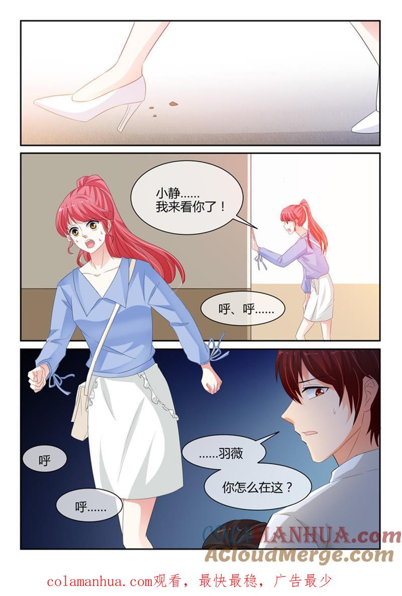 第240话-冰山首席：枕上替嫁新娘-成都古羌（第9张）