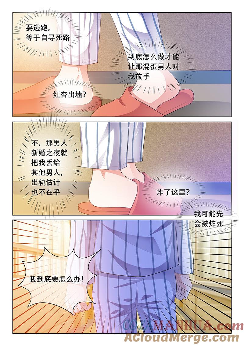 第48话-冰山首席：枕上替嫁新娘-成都古羌（第3张）