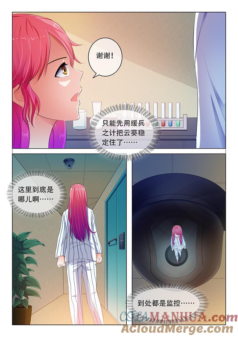 第48话-冰山首席：枕上替嫁新娘-成都古羌（第2张）