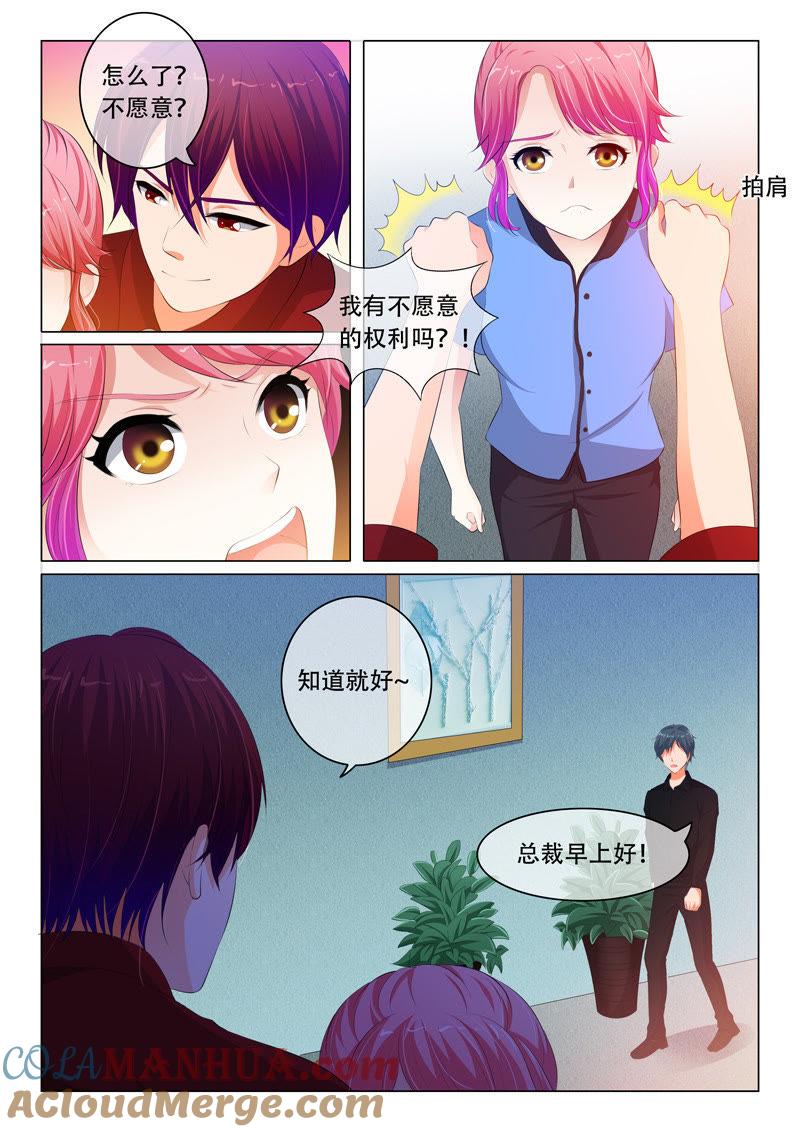 第78话-冰山首席：枕上替嫁新娘-成都古羌（第2张）