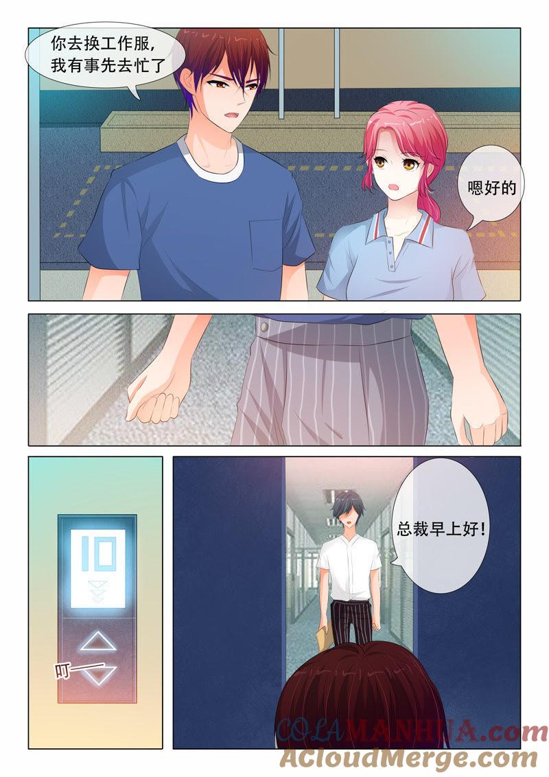 第88话-冰山首席：枕上替嫁新娘-成都古羌（第8张）