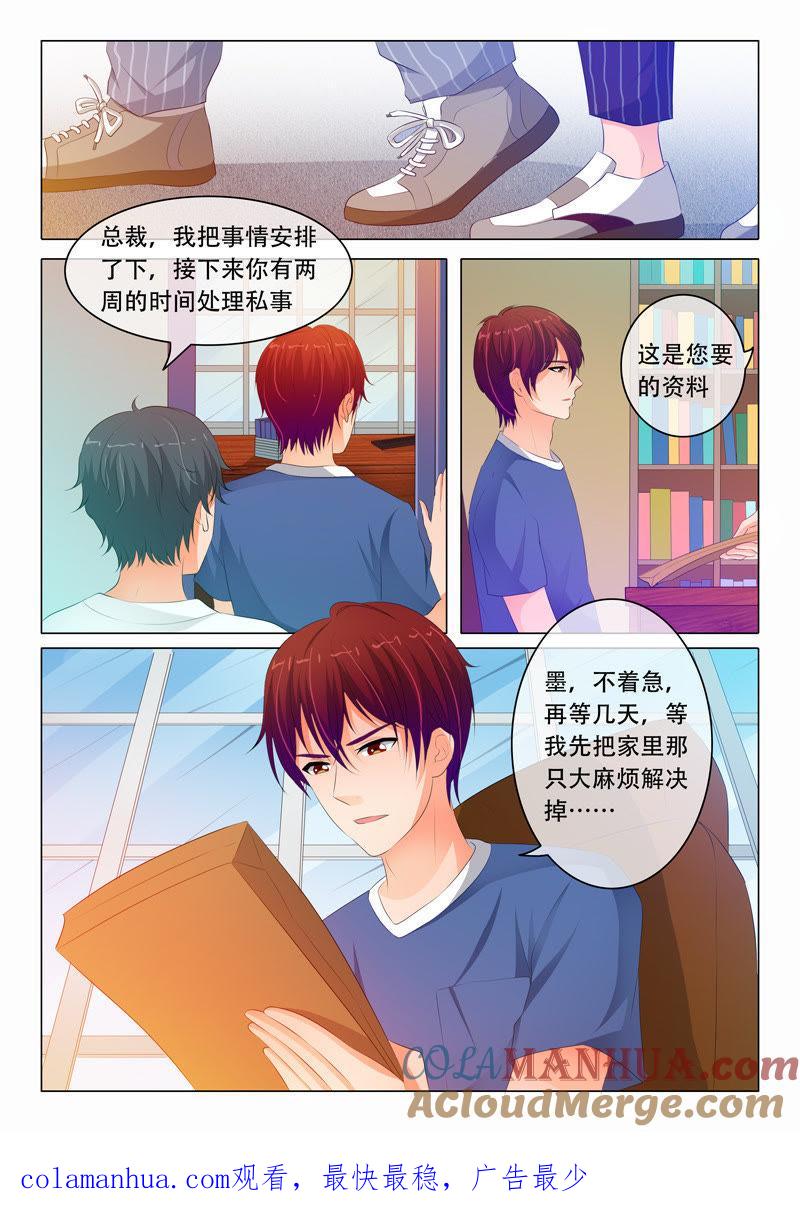 第88话-冰山首席：枕上替嫁新娘-成都古羌（第9张）