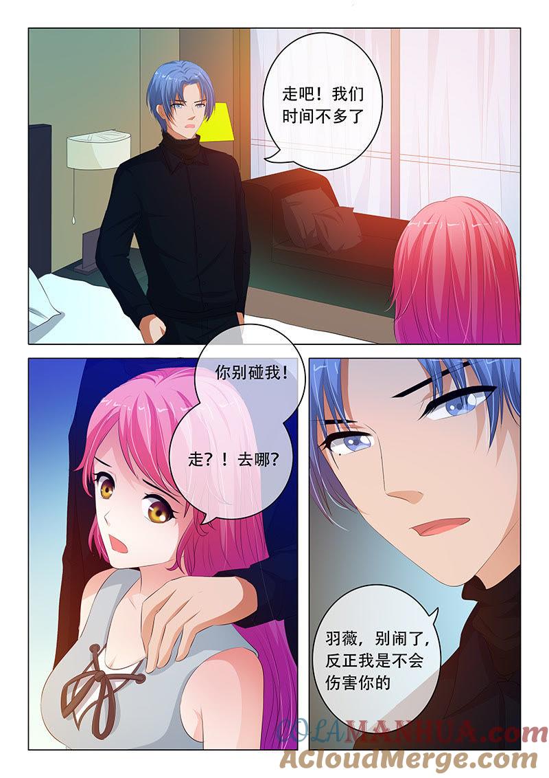 第96话-冰山首席：枕上替嫁新娘-成都古羌（第8张）
