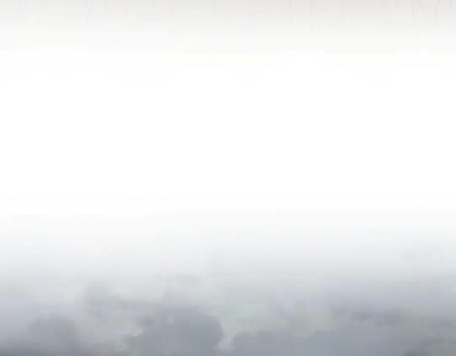 99.jpg