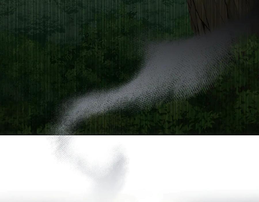 95.jpg