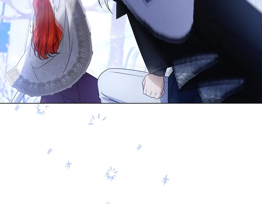 204.jpg