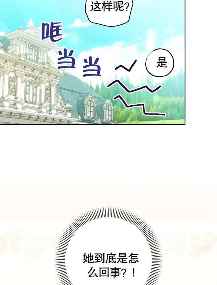 第12话-比起公主，侍女才是我的天职-（第11张）